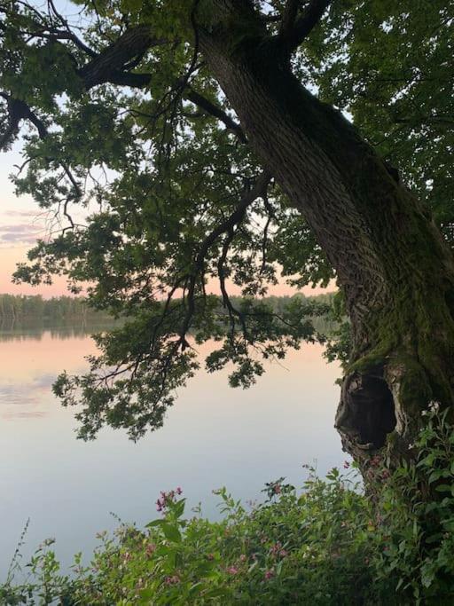 Prijemna Chaloupka Na Trebonsku Villa Chlum u Trebone Kültér fotó