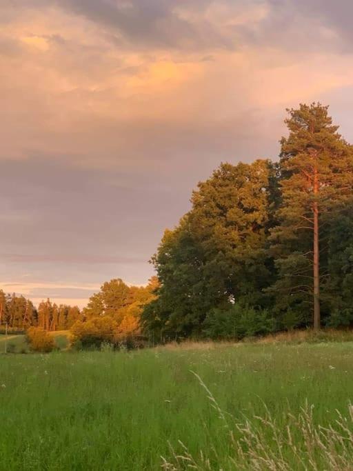 Prijemna Chaloupka Na Trebonsku Villa Chlum u Trebone Kültér fotó