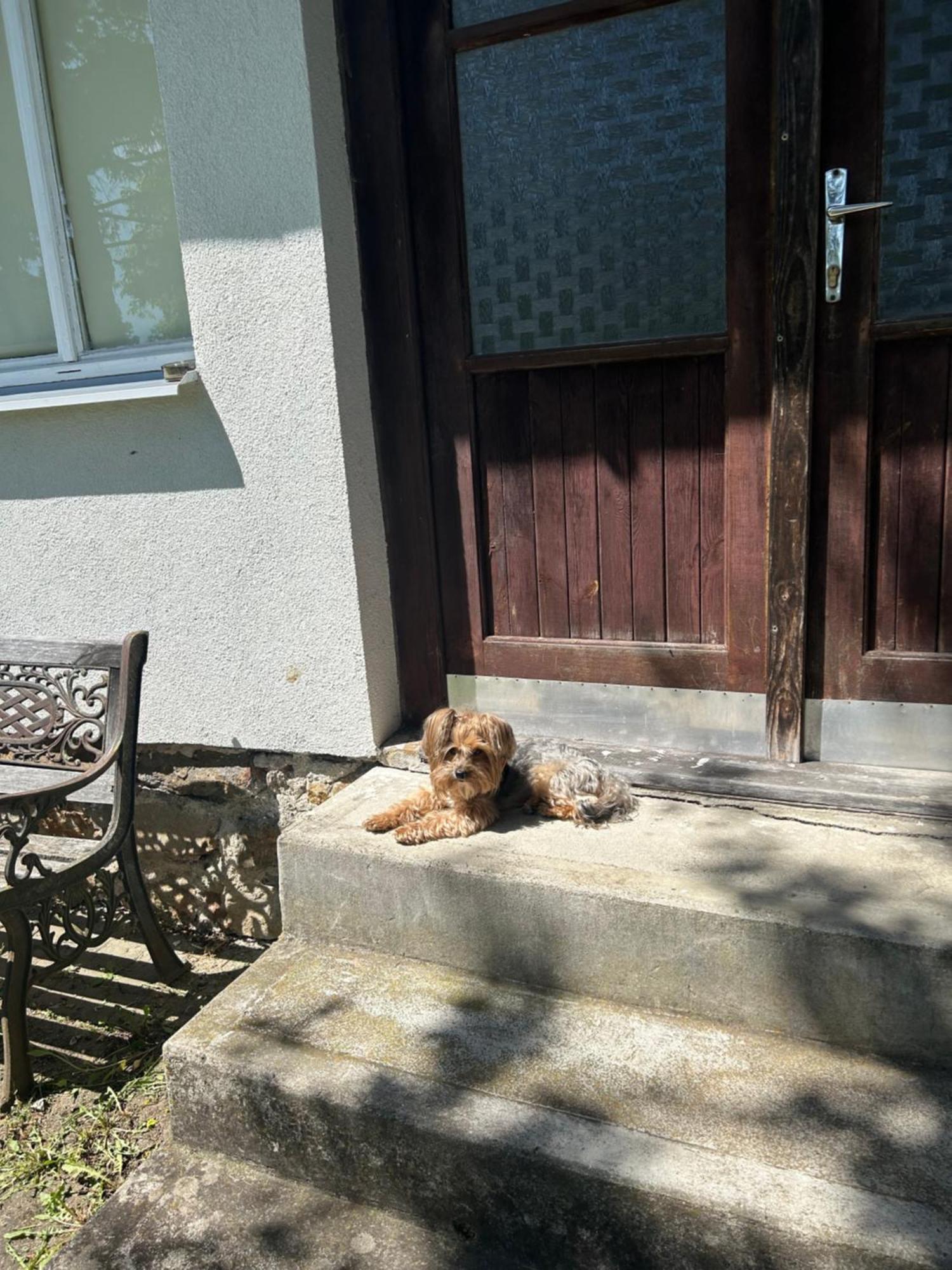 Prijemna Chaloupka Na Trebonsku Villa Chlum u Trebone Kültér fotó